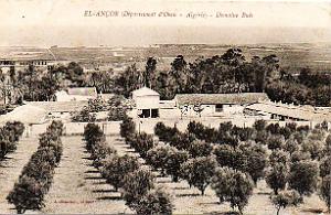 EL ANCOR MADRAGUE LES ANDALOUSES  (53)